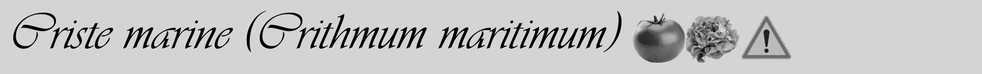 Étiquette de : Crithmum maritimum - format a - style noire40viv avec comestibilité simplifiée