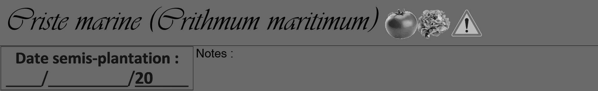 Étiquette de : Crithmum maritimum - format a - style noire51viv avec comestibilité simplifiée