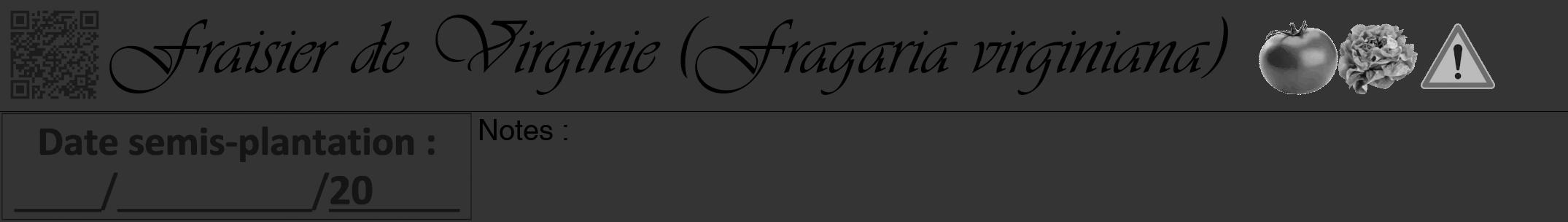 Étiquette de : Fragaria virginiana - format a - style noire46viv avec qrcode et comestibilité simplifiée
