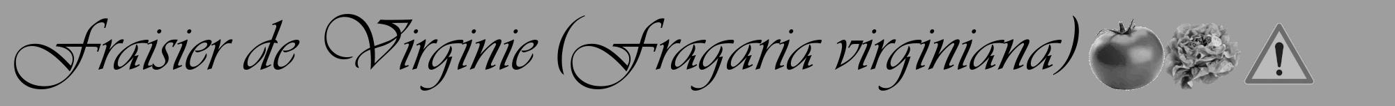 Étiquette de : Fragaria virginiana - format a - style noire23viv avec comestibilité simplifiée