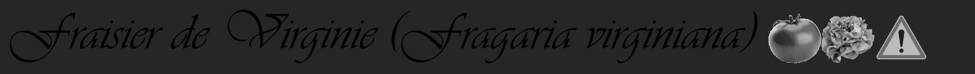Étiquette de : Fragaria virginiana - format a - style noire29viv avec comestibilité simplifiée