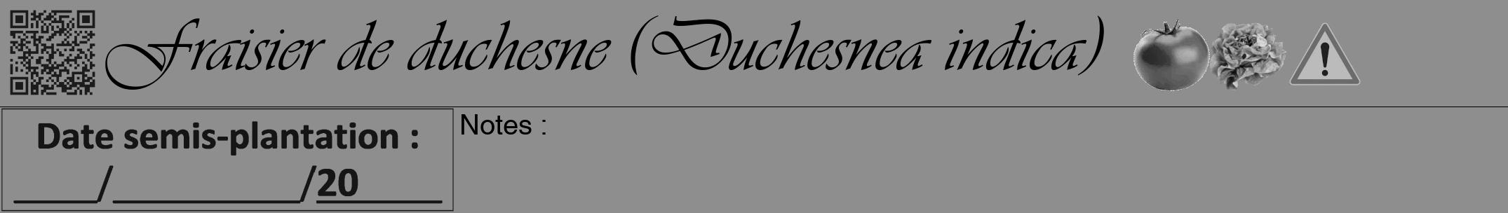 Étiquette de : Duchesnea indica - format a - style noire25viv avec qrcode et comestibilité simplifiée