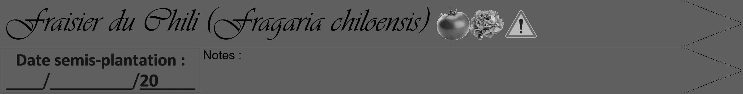Étiquette de : Fragaria chiloensis - format a - style noire10simpleviv avec comestibilité simplifiée