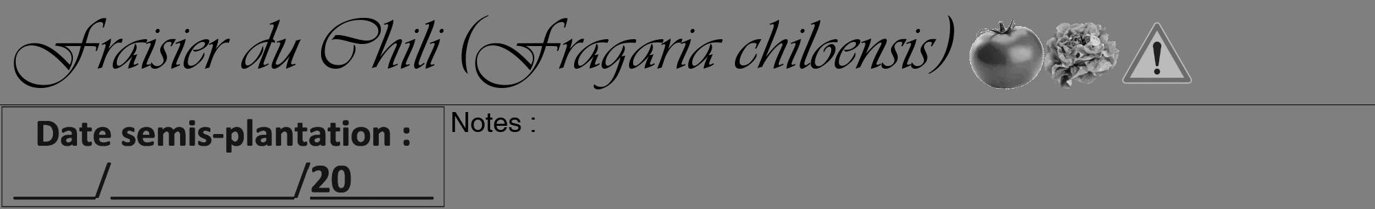 Étiquette de : Fragaria chiloensis - format a - style noire31viv avec comestibilité simplifiée