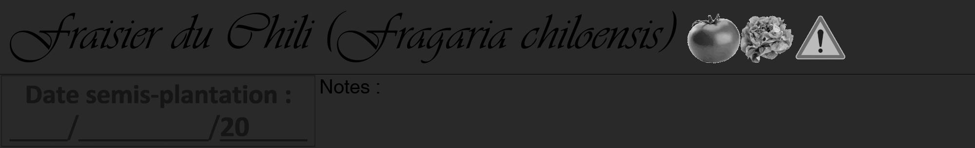 Étiquette de : Fragaria chiloensis - format a - style noire34viv avec comestibilité simplifiée