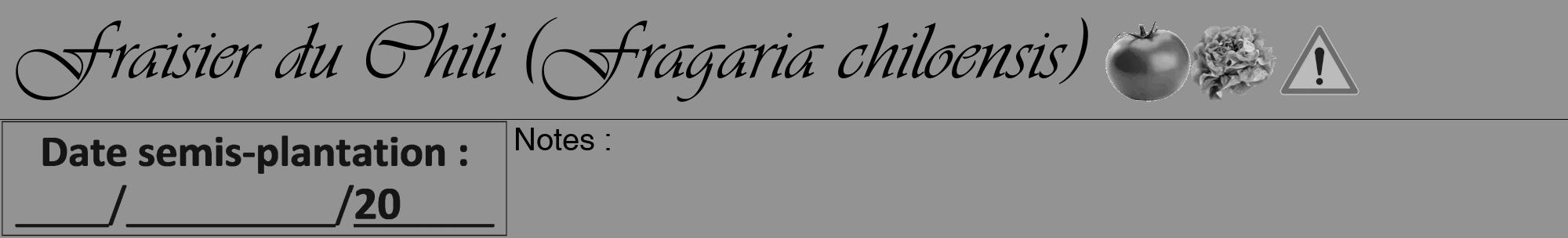 Étiquette de : Fragaria chiloensis - format a - style noire44viv avec comestibilité simplifiée