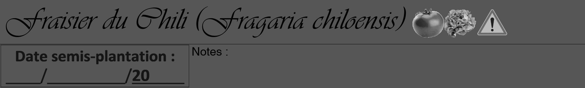 Étiquette de : Fragaria chiloensis - format a - style noire45viv avec comestibilité simplifiée