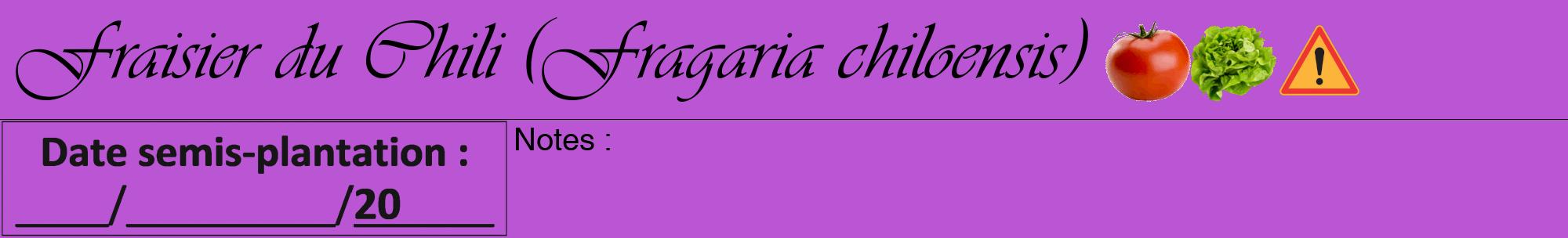 Étiquette de : Fragaria chiloensis - format a - style noire50viv avec comestibilité simplifiée