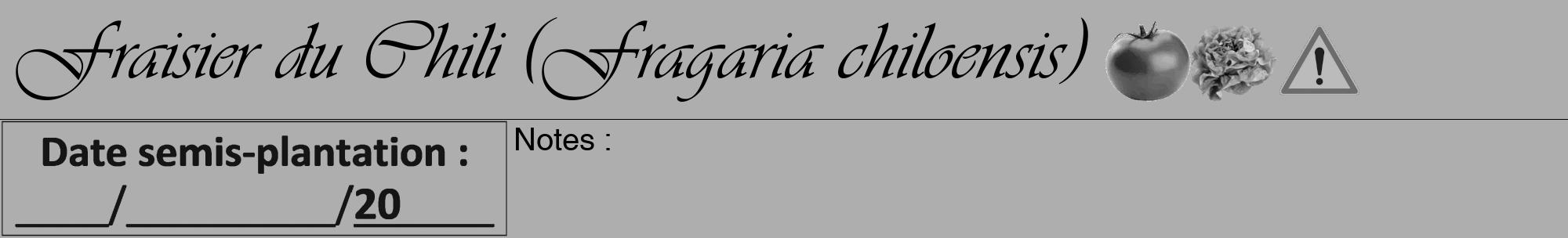 Étiquette de : Fragaria chiloensis - format a - style noire53viv avec comestibilité simplifiée