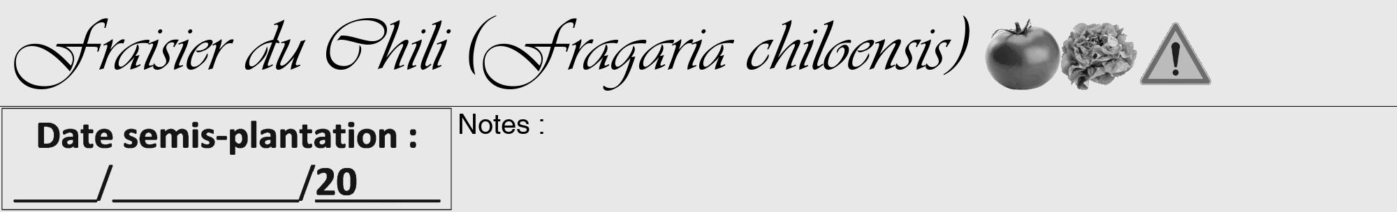 Étiquette de : Fragaria chiloensis - format a - style noire55viv avec comestibilité simplifiée