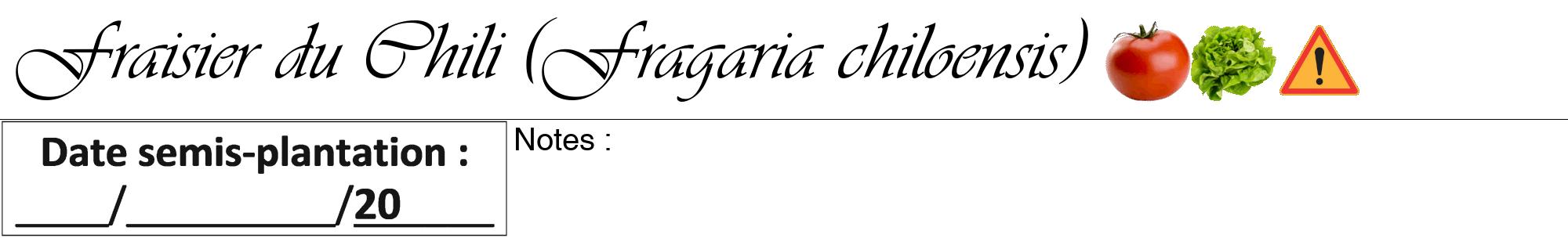 Étiquette de : Fragaria chiloensis - format a - style noire60viv avec comestibilité simplifiée