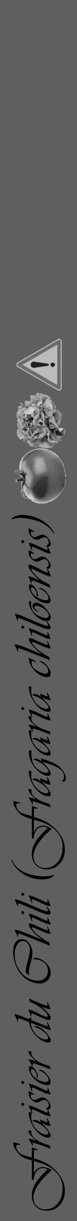 Étiquette de : Fragaria chiloensis - format a - style noire10simpleviv avec comestibilité simplifiée - position verticale