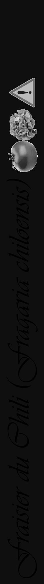 Étiquette de : Fragaria chiloensis - format a - style noire7viv avec comestibilité simplifiée - position verticale