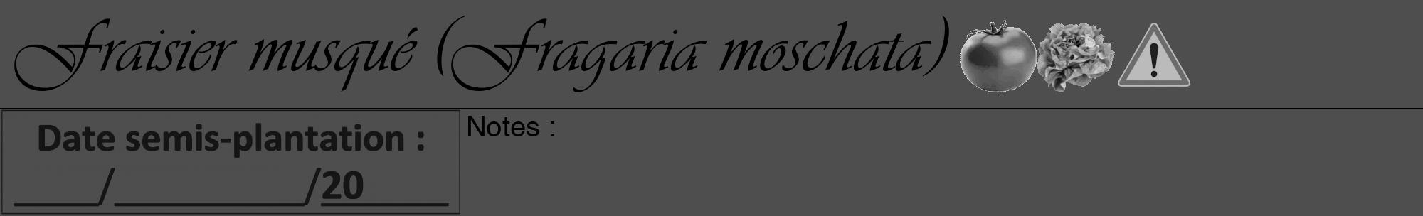 Étiquette de : Fragaria moschata - format a - style noire33viv avec comestibilité simplifiée