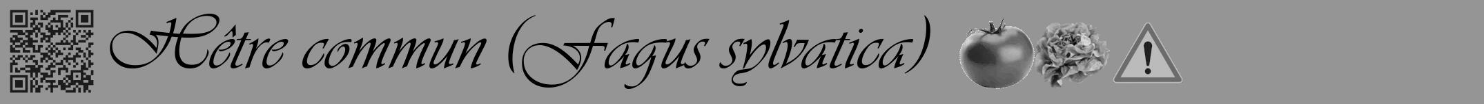 Étiquette de : Fagus sylvatica - format a - style noire16simpleviv avec qrcode et comestibilité simplifiée