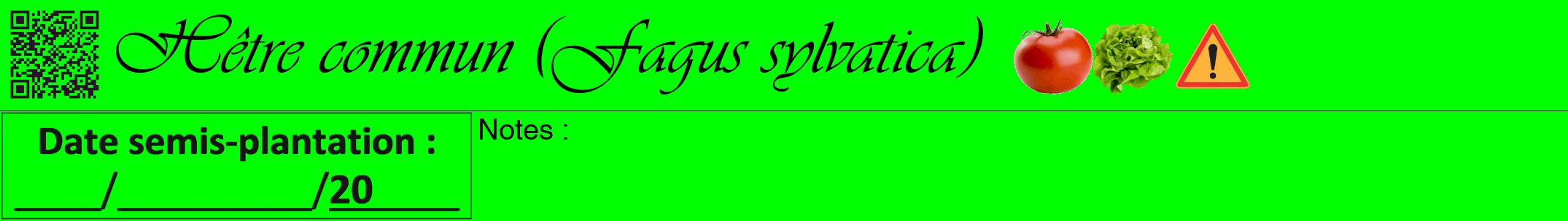 Étiquette de : Fagus sylvatica - format a - style noire16simpleviv avec qrcode et comestibilité simplifiée