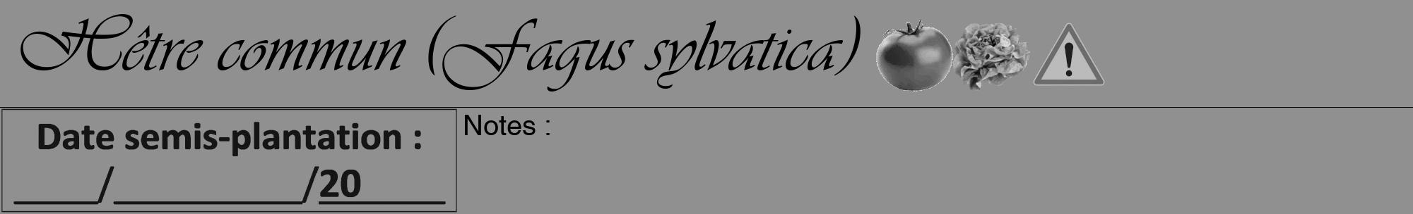Étiquette de : Fagus sylvatica - format a - style noire4viv avec comestibilité simplifiée