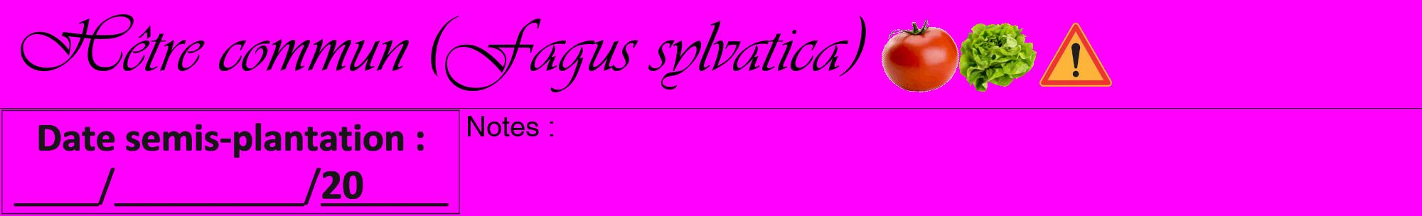 Étiquette de : Fagus sylvatica - format a - style noire51viv avec comestibilité simplifiée