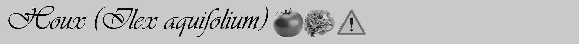 Étiquette de : Ilex aquifolium - format a - style noire54viv avec comestibilité simplifiée