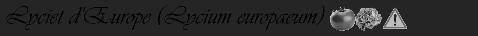 Étiquette de : Lycium europaeum - format a - style noire47viv avec comestibilité simplifiée