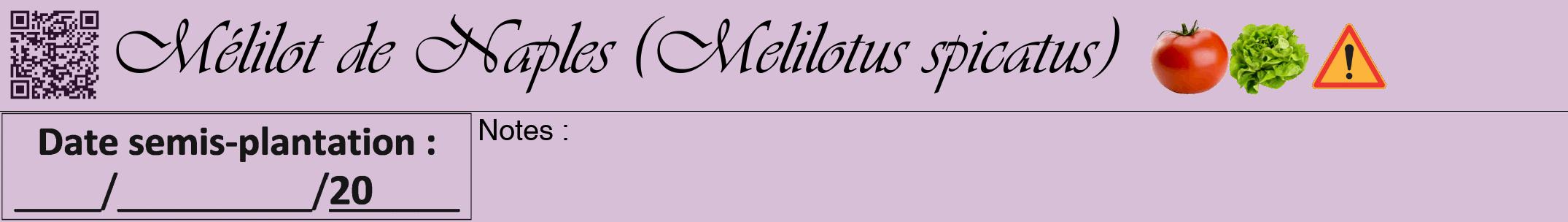 Étiquette de : Melilotus spicatus - format a - style noire54viv avec qrcode et comestibilité simplifiée