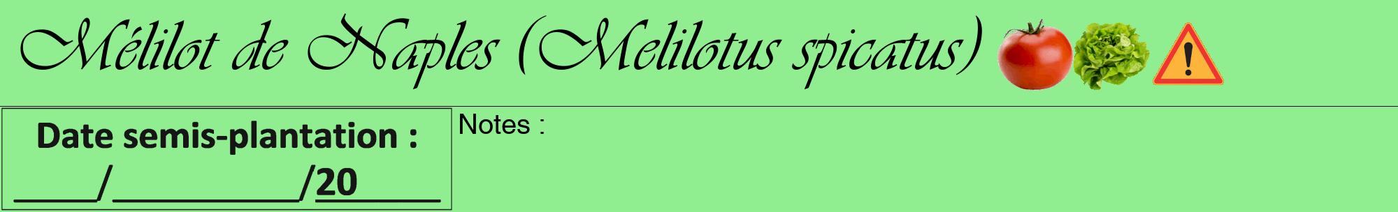 Étiquette de : Melilotus spicatus - format a - style noire15viv avec comestibilité simplifiée