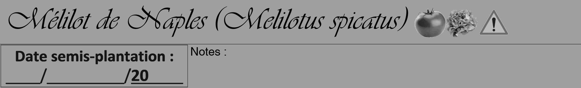 Étiquette de : Melilotus spicatus - format a - style noire24viv avec comestibilité simplifiée