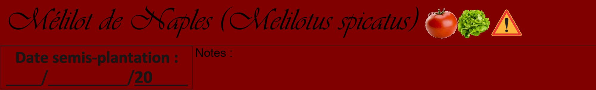 Étiquette de : Melilotus spicatus - format a - style noire29viv avec comestibilité simplifiée
