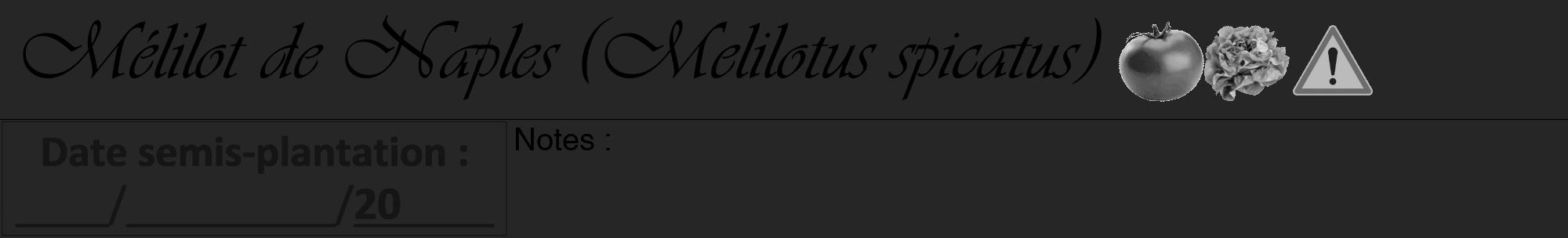 Étiquette de : Melilotus spicatus - format a - style noire29viv avec comestibilité simplifiée