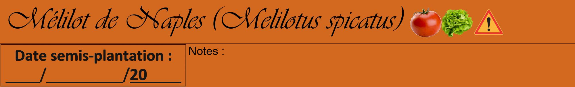 Étiquette de : Melilotus spicatus - format a - style noire31viv avec comestibilité simplifiée