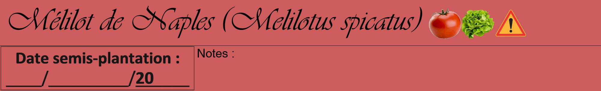 Étiquette de : Melilotus spicatus - format a - style noire35viv avec comestibilité simplifiée