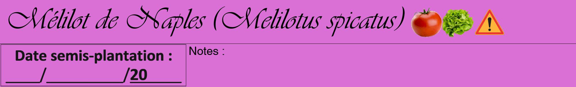 Étiquette de : Melilotus spicatus - format a - style noire52viv avec comestibilité simplifiée