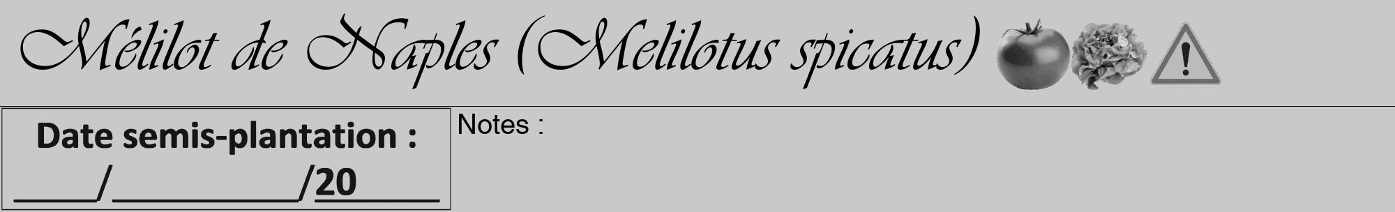 Étiquette de : Melilotus spicatus - format a - style noire54viv avec comestibilité simplifiée