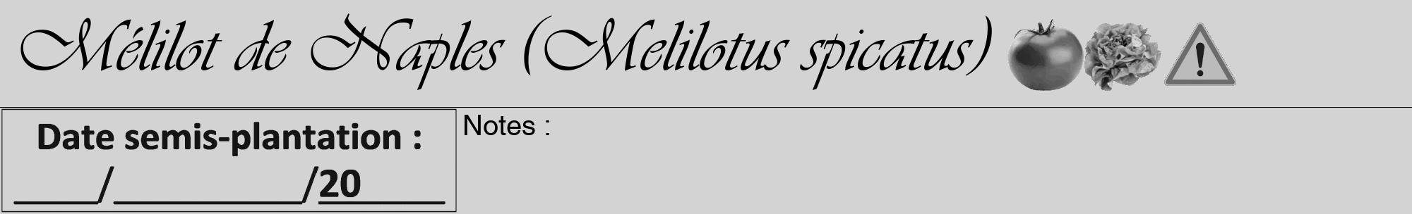 Étiquette de : Melilotus spicatus - format a - style noire56viv avec comestibilité simplifiée