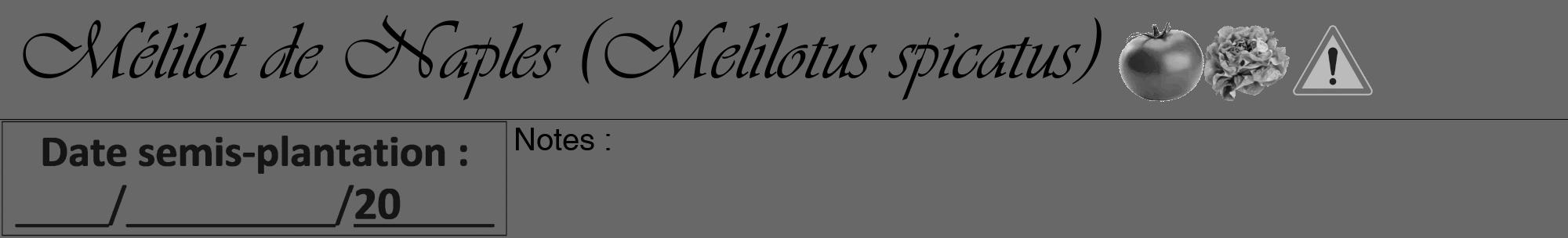 Étiquette de : Melilotus spicatus - format a - style noire6viv avec comestibilité simplifiée