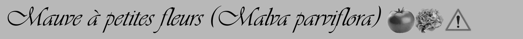 Étiquette de : Malva parviflora - format a - style noire39viv avec comestibilité simplifiée