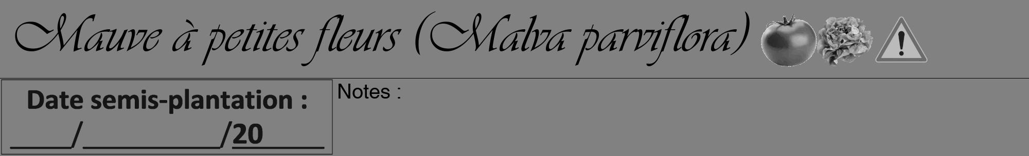 Étiquette de : Malva parviflora - format a - style noire50viv avec comestibilité simplifiée