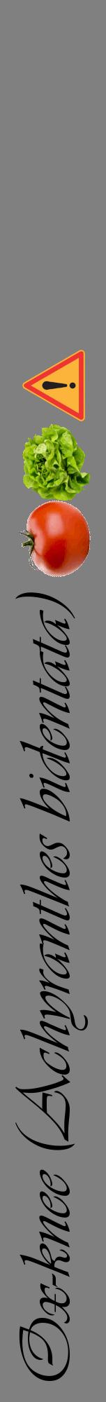 Étiquette de : Achyranthes bidentata - format a - style noire57viv avec comestibilité simplifiée