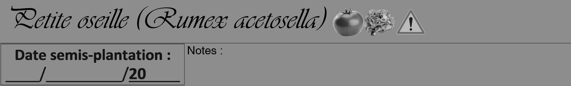 Étiquette de : Rumex acetosella - format a - style noire2viv avec comestibilité simplifiée
