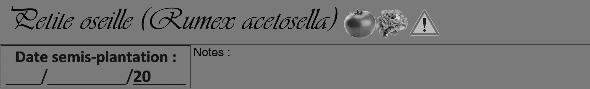 Étiquette de : Rumex acetosella - format a - style noire3viv avec comestibilité simplifiée