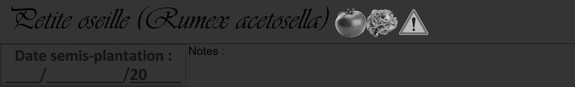 Étiquette de : Rumex acetosella - format a - style noire46basiqueviv avec comestibilité simplifiée