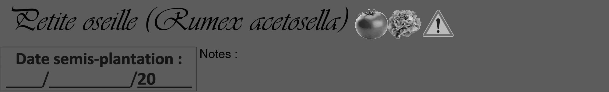 Étiquette de : Rumex acetosella - format a - style noire49viv avec comestibilité simplifiée