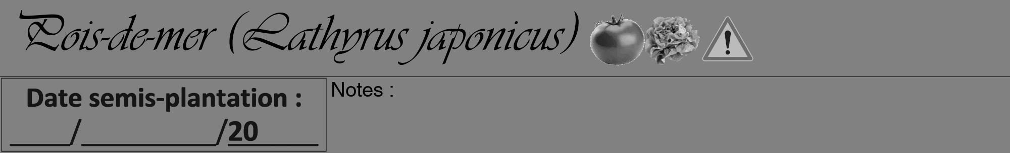 Étiquette de : Lathyrus japonicus - format a - style noire50viv avec comestibilité simplifiée