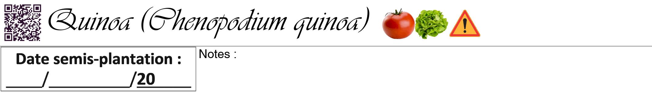 Étiquette de : Chenopodium quinoa - format a - style noire60viv avec qrcode et comestibilité simplifiée
