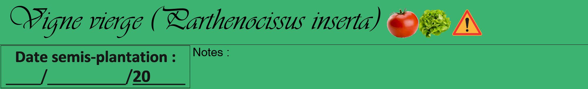 Étiquette de : Parthenocissus inserta - format a - style noire12viv avec comestibilité simplifiée