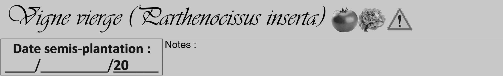 Étiquette de : Parthenocissus inserta - format a - style noire15viv avec comestibilité simplifiée