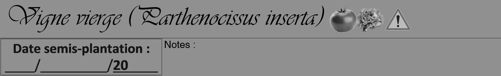 Étiquette de : Parthenocissus inserta - format a - style noire4viv avec comestibilité simplifiée
