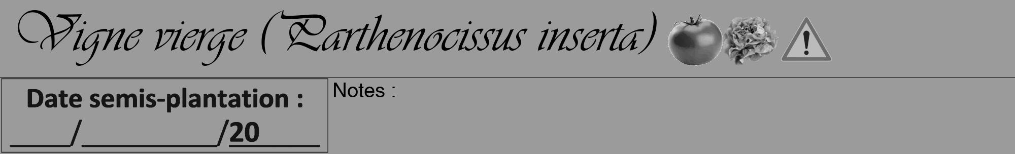 Étiquette de : Parthenocissus inserta - format a - style noire52viv avec comestibilité simplifiée