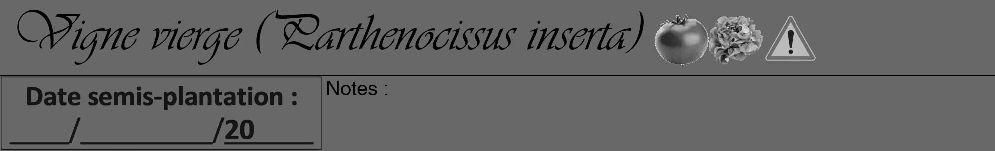 Étiquette de : Parthenocissus inserta - format a - style noire6viv avec comestibilité simplifiée