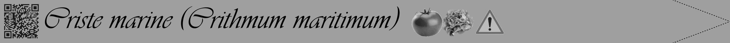 Étiquette de : Crithmum maritimum - format b - style noire24viv avec qrcode et comestibilité simplifiée